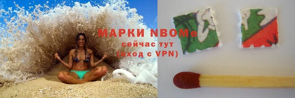 прущие грибы Балахна