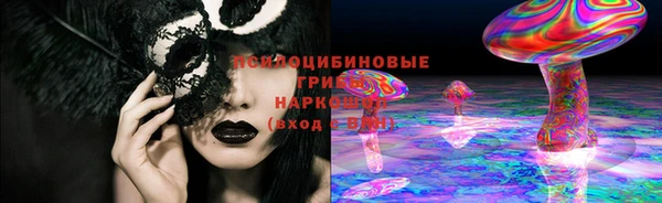 прущие грибы Балахна
