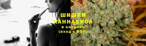 прущие грибы Балахна
