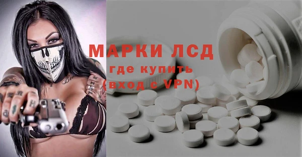 прущие грибы Балахна