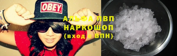 прущие грибы Балахна
