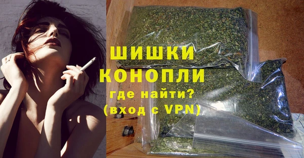 прущие грибы Балахна