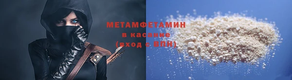 прущие грибы Балахна