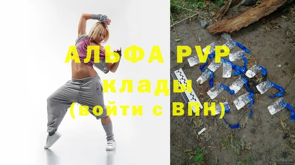 прущие грибы Балахна