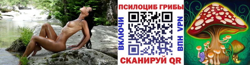 Псилоцибиновые грибы мухоморы  Заволжье 